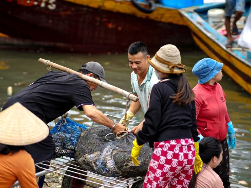 Gỏi cá mai – Món đặc sản nên thử khi ghé nhà hàng Lagi Khung cảnh lái buôn thu mua hải sản dưới Cảng cá LaGi
